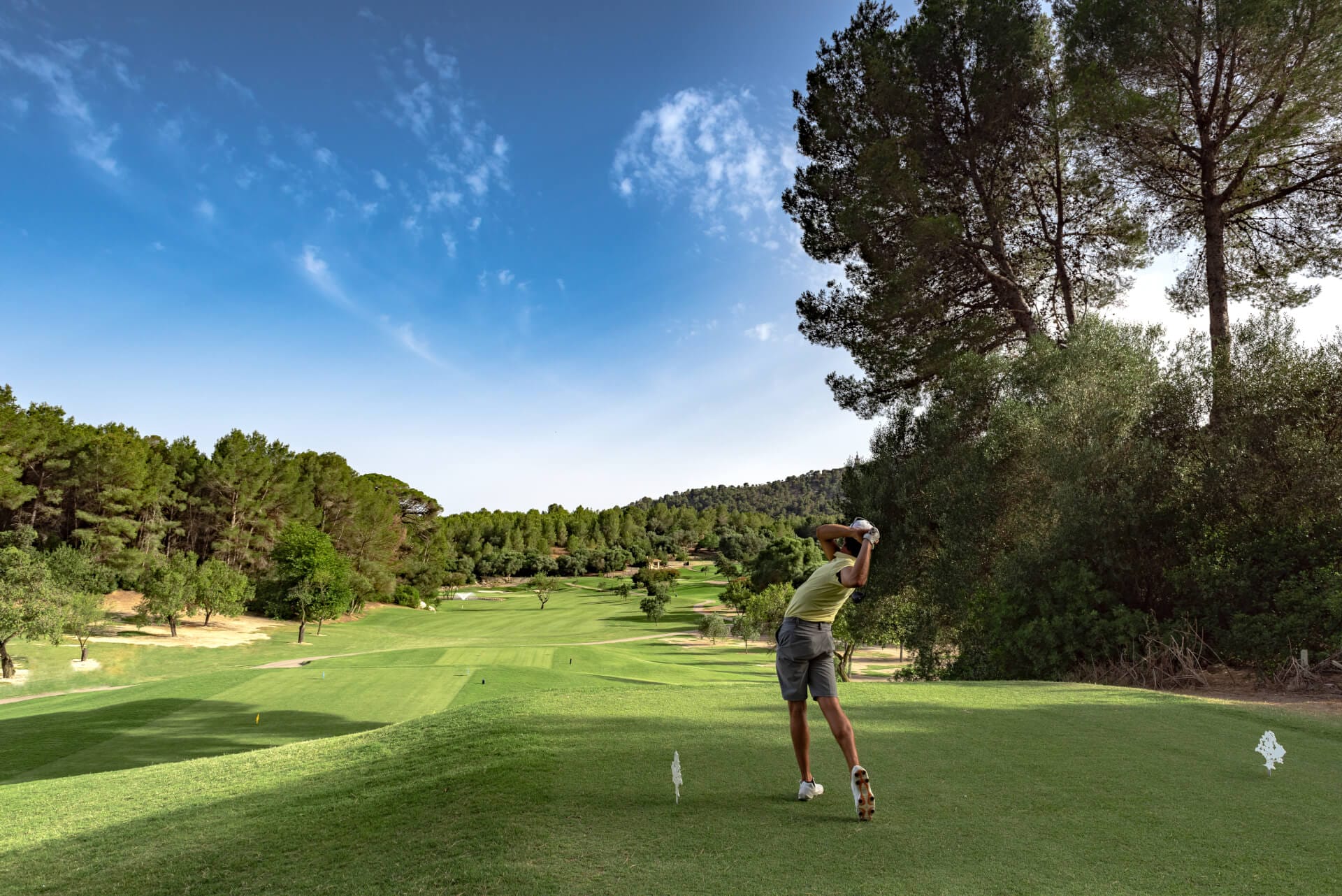 From Tee to Green: Transforming Your Golf Skills with Expert Tips